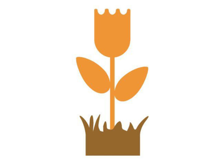 Gardening Naturally