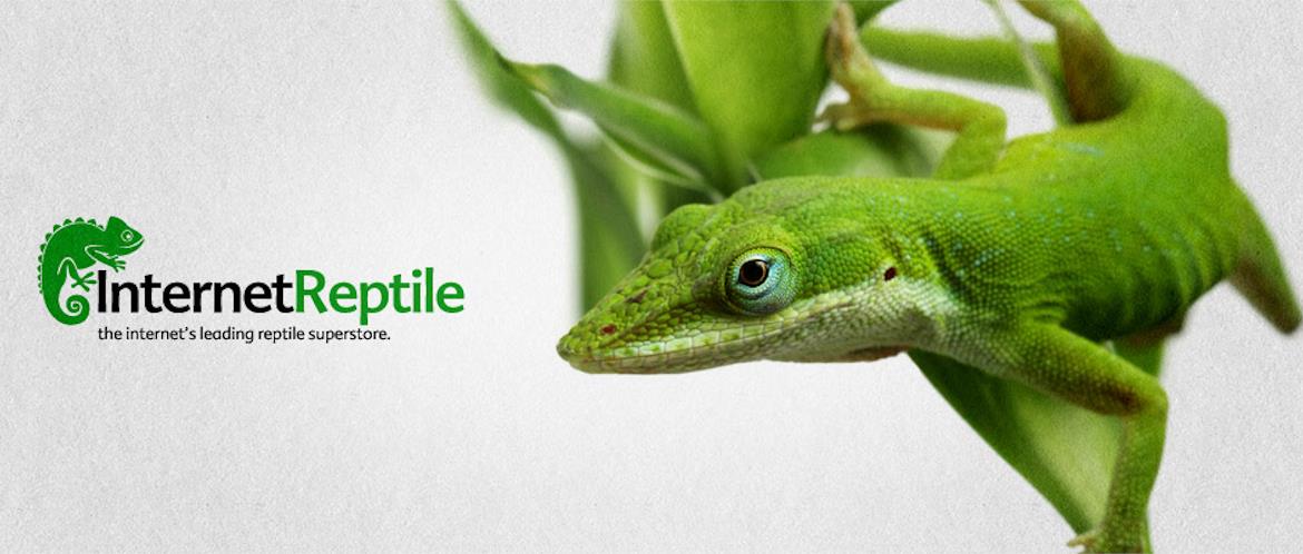 Internet Reptile